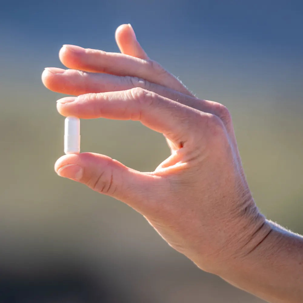 SaltStick Caps 100ct Bottle