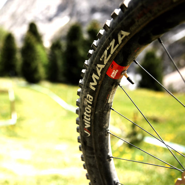 Vittoria Mazza Race Enduro Tire, 2PLY, Black, G2.0 - 29x2.4