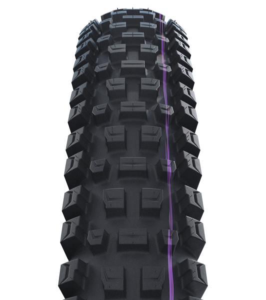 Schwalbe Albert Trail Pro Evo Tire, TLR, Radial, Addix Ultra Soft Black 29x2.50