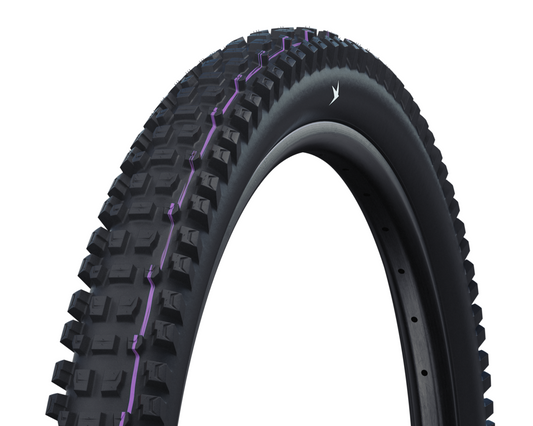 Schwalbe Albert Trail Pro Evo Tire, TLR, Radial, Addix Ultra Soft Black 29x2.50