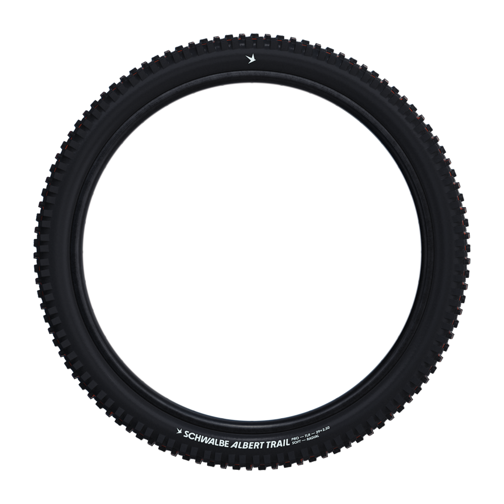 Schwalbe Albert Gravity Pro Evo Tire, TLR, Radial, Addix Ultra Soft Black 29x2.50