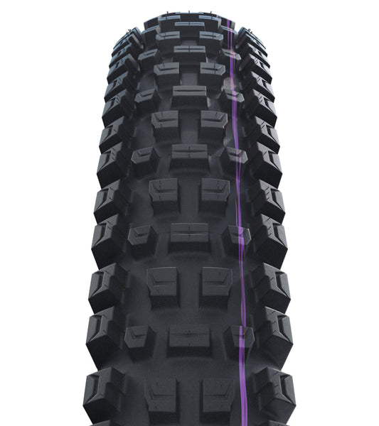 Schwalbe Albert Gravity Pro Evo Tire, TLR, Radial, Addix Ultra Soft Black 29x2.50